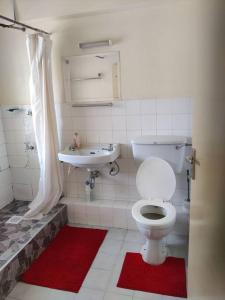 ナイロビにあるTownhouse Upper Hill Nairobi 1のバスルーム(トイレ、洗面台付)