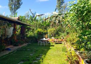 Κήπος έξω από το Navilu Kallu Homestay by StayApart
