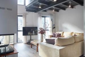 a living room with a couch and a tv at Val Arties 2 by FeelFree Rentals in Arties