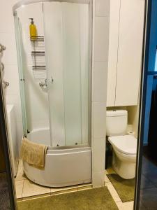 een badkamer met een douche en een toilet bij Gedimino 9 in Marijampolė