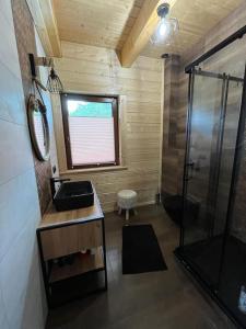 baño pequeño con ducha y lavamanos en Dom Pod Lasem en Rydzewo