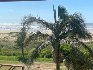 a palm tree in front of the beach at Casa Amarela a Beira Mar entre Arroio do Sal e Torres in Arroio do Sal