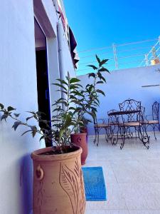 Gallery image of Taghazout Vibes appart in Taghazout