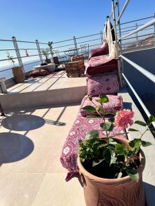 Gallery image of Taghazout Vibes appart in Taghazout