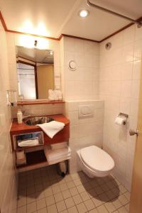 ein Badezimmer mit einem WC, einem Waschbecken und einem Spiegel in der Unterkunft Fairtours Hotelschiff Rex Rheni *** in Düsseldorf