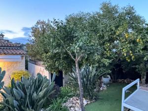 einen Garten mit Zitronenbäumen und einigen Pflanzen in der Unterkunft Villa du Parc de Vaugrenier in Villeneuve-Loubet