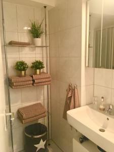 a bathroom with a sink and a shower with plants at Studio St. Gereon (central & cozy) in Cologne