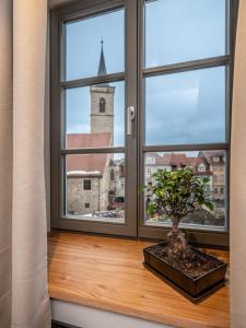 a window with a potted plant on a wooden window sill at NASHI Rooms in Erfurt