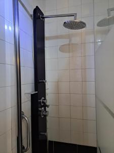 baño con ducha con puerta negra en La Casona del Pinar Albergue, en San Rafael