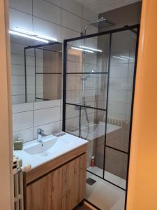 y baño con lavabo y ducha. en Le Déodatien, en Saint-Dié-des-Vosges