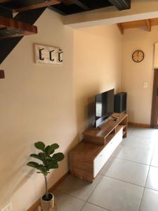 a living room with a television and a potted plant at PARALELO hospedaje vacacional in El Bolsón