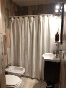 La salle de bains est pourvue d'un rideau de douche, de toilettes et d'un lavabo. dans l'établissement PARALELO hospedaje vacacional, à El Bolsón 15 autres photos