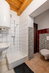 a bathroom with a shower and a sink and a toilet at Sarki-ház in Szigliget