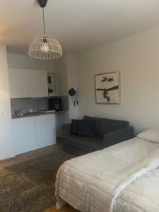 罗瓦涅米Arctic Condo at City Centre的带床和沙发的客厅