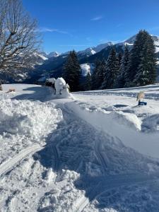 a road covered in snow with trees and mountains at Berg-Pension Battagliahütte in Churwalden