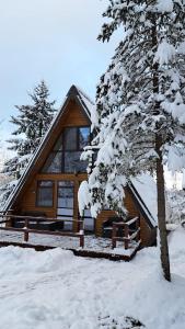 a log cabin in the snow with a tree at Cabana Armonia Naturii in Avrig