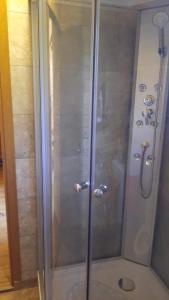 eine Dusche mit Glastür im Bad in der Unterkunft Cabana Armonia Naturii in Avrig