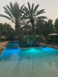 Riad le Jasmin内部或周边的泳池