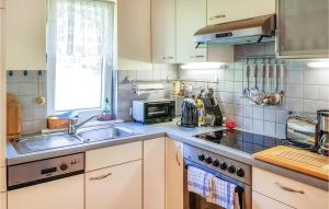 cocina con fregadero y fogones en Gorgeous Apartment In Ausserbraz With Kitchen, en Ausserbraz