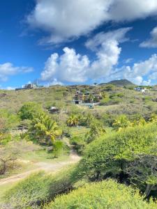 a view of a hill with palm trees and houses at La Rosedepine chez Mariani chez l'habitant in Rodrigues Island
