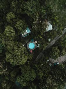 an overhead view of a pool in the forest at Hacienda Tres Casitas in Cabo Rojo