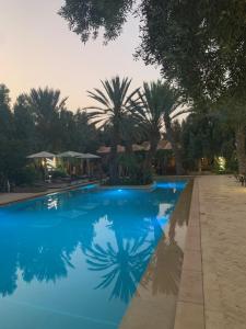 a blue swimming pool with palm trees in the background at Riad le Jasmin in Taroudant