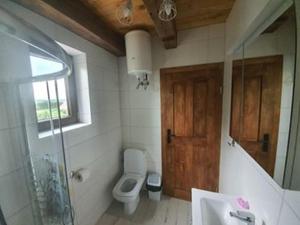 een badkamer met een toilet, een wastafel en een raam bij Domek na górce in Sztabin
