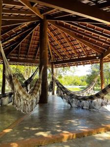 a group of hammocks under a wooden roof at Rancho Jatobá in Bonito