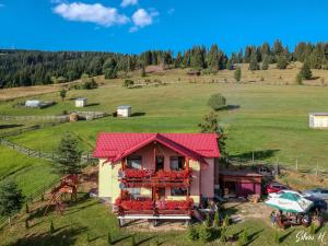 a house with a red roof and flowers in a field at Cabana Gabriel Bucovina in Vatra Dornei