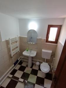a bathroom with a sink and a toilet at Cabana Gabriel Bucovina in Şaru Bucovinei