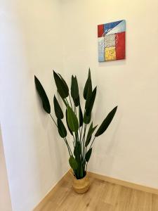 Fotografie z fotogalerie ubytování Sakura 1 Homestay Kampar Landed v destinaci Kampar