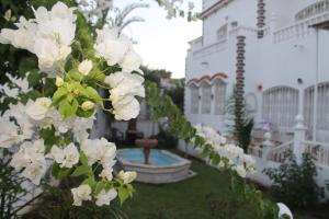 Κήπος έξω από το Malabata Guest House