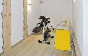 a room with a gym with a exercise bike at Awesome Apartment In Schladming With 2 Bedrooms And Internet in Gleiming