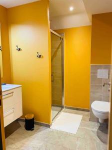 ein gelbes Badezimmer mit Toilette und Dusche in der Unterkunft Le Spicy 2 minutes centre historique parking in Sarlat-la-Canéda