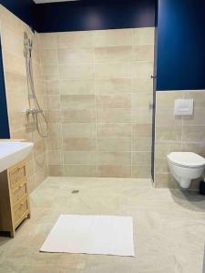 ein Badezimmer mit Dusche, Toilette und Waschbecken in der Unterkunft Le Spicy 2 minutes centre historique parking in Sarlat-la-Canéda