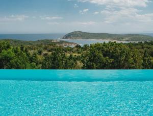 a swimming pool with a view of the ocean at Résidence Les Terrasses de Rondinara in Bonifacio