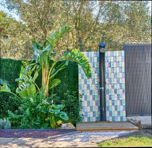 Κήπος έξω από το Casa Brisa Boutique Guest House - Gay Men Only