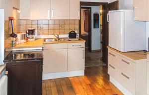 una cucina con lavandino e frigorifero di Amazing Apartment In Schetteregg With House A Mountain View a Egg
