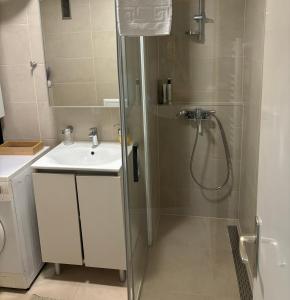La salle de bains est pourvue d'une douche et d'un lavabo. dans l'établissement Udoban stan u centru, à Zagreb