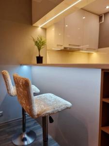 Köök või kööginurk majutusasutuses Nowe Miasto 40