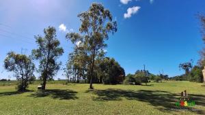 deux arbres dans un champ à ciel bleu dans l'établissement H Office x WiFi x Churrasqueira x 6km Estr do Mar x 7km Pq de Rodeio x 12km Morro Borrusia, à Osório