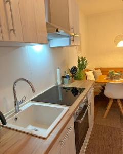 a kitchen with a sink and a counter top at Urlaubsschmiede Winterberg in Winterberg