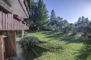 un patio de césped con árboles y una casa en Villa Lucente, en Alvera