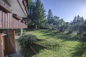 un patio de césped con una casa y una planta en Villa Lucente, en Alvera