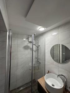 a bathroom with a shower and a sink and a mirror at Apartma Studio Jana in Kranjska Gora
