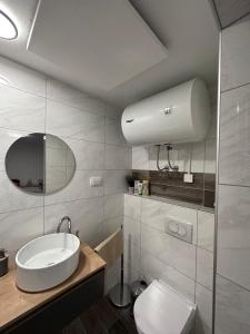 a bathroom with a sink and a toilet and a mirror at Apartma Studio Jana in Kranjska Gora