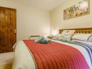 Bradworthyにある2 bed in Bude 85562のベッドルーム1室(赤い毛布付きのベッド1台付)