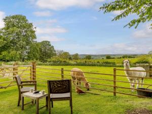 een hek met een tafel en stoelen en schapen in een veld bij 1 bed property in Hexham 82782 