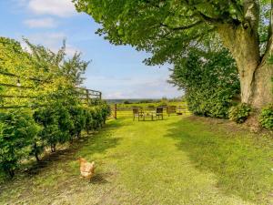 a cat standing in the grass next to a tree at 1 bed property in Hexham 82782 