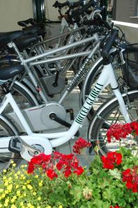 um grupo de bicicletas estacionadas ao lado de algumas flores em Hotel Gloria em Lignano Sabbiadoro